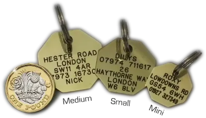 Octagonal-Pet-Tags-Brass
