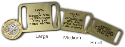 Dog-Collar-Pet-Tag