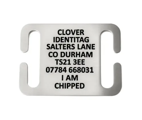 Picture of Stainless Steel Collar Dog ID Tag (Large)