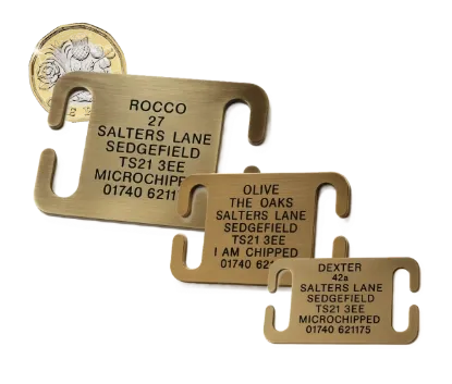 Picture of Open Ended Collar Brass Dog Tags
