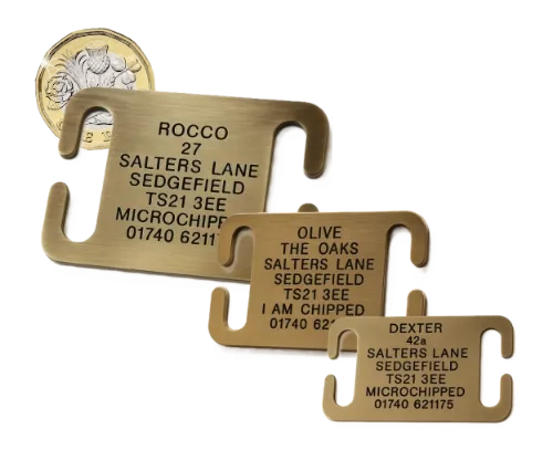 Picture of Open Ended Collar Brass Dog Tags