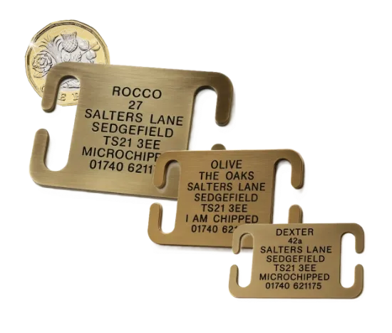 Picture of Open Ended Collar Brass Dog Tags