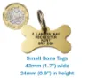 Picture of Bone Brass Dog  ID Tags