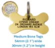 Picture of Brass Bone Pet ID Tag (Medium )