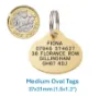 Picture of Brass Oval Dog ID Tag (Medium)
