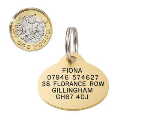 Picture of Brass Oval Dog ID Tag (Medium)