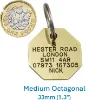 Picture of Brass Octagonal Dog ID Tag (Medium)