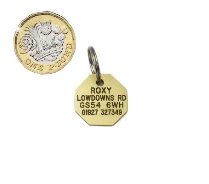 Picture of  Brass Octagonal Pet Tag (Mini)
