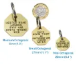 Picture of Brass Octagonal Pet Tag (Mini)